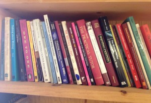 A bookshelf in the Writing Rodeo conference space