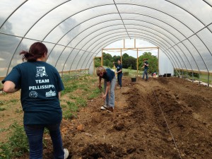 Pellissippi state Students forming rows in the high tunnel at CUA. The rows are used by market gardeners to grow fresh produce for the neighborhood.