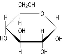 Structure of D-glucose