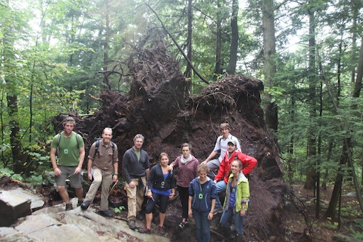 Environmental Field Methods class under a gigantic uprooted tree