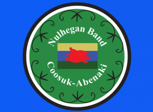A screenshot of the Nulhegan Band Coosuk-Abenaki emblem/coat of arms