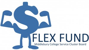 Official Flex Fund Logo