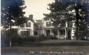 Adirondack House-1929 Austrian Pine on right side