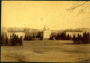 Another perspective on teh spruce row-1892