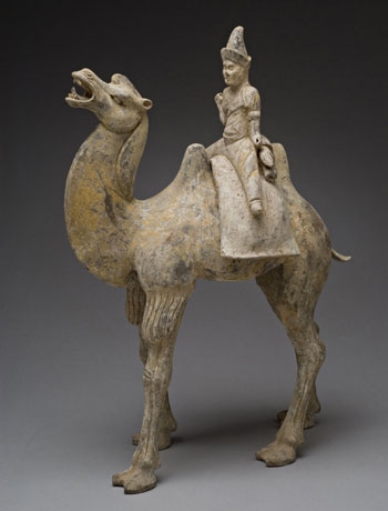 Camel and Rider