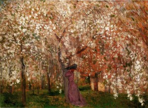 800px-Rippl_Sour_Cherry_Tree_in_Blossom_1909