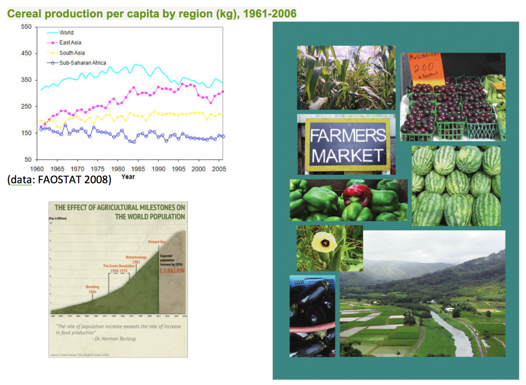 Cereal Production Per Capita by Region (kg), 1961-2006