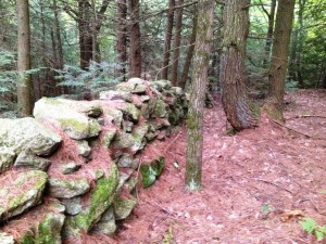 Deep Woods Stone Wall