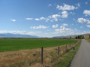 The Madison River Valley