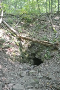 Mouth of the Cave