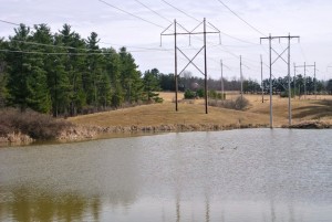 Larger Pond