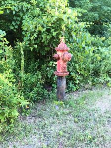 Lonely Fire Hydrant