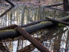 otter-creek-logs