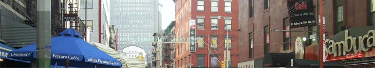 An American Chinese Education