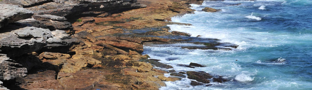 Conserving California's Coast