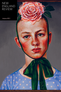 Cover of NER 45.1 featuring artwork by Timothy Cummings.