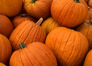 Middlebury College October pumpkin
